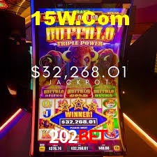 Experiência VIP 202Bet